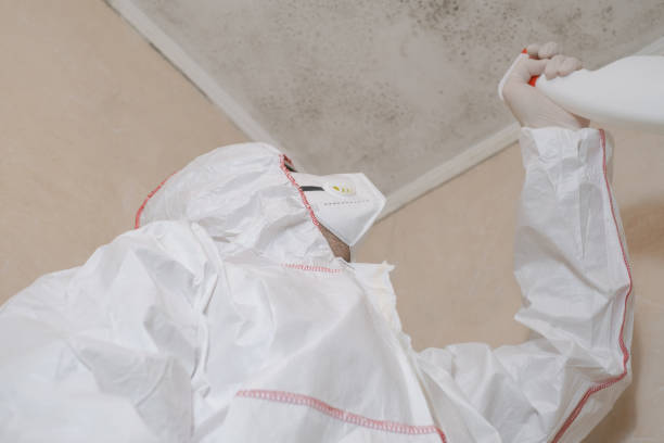 Best Mold Testing  in Elgin, TX
